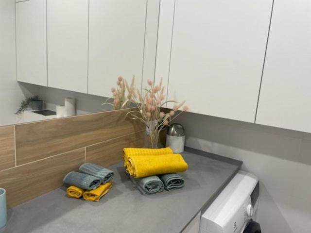 Apartament Mieszczanski Klima-Parkigfree2X-Netflix-Youtube Βρότσλαβ Εξωτερικό φωτογραφία